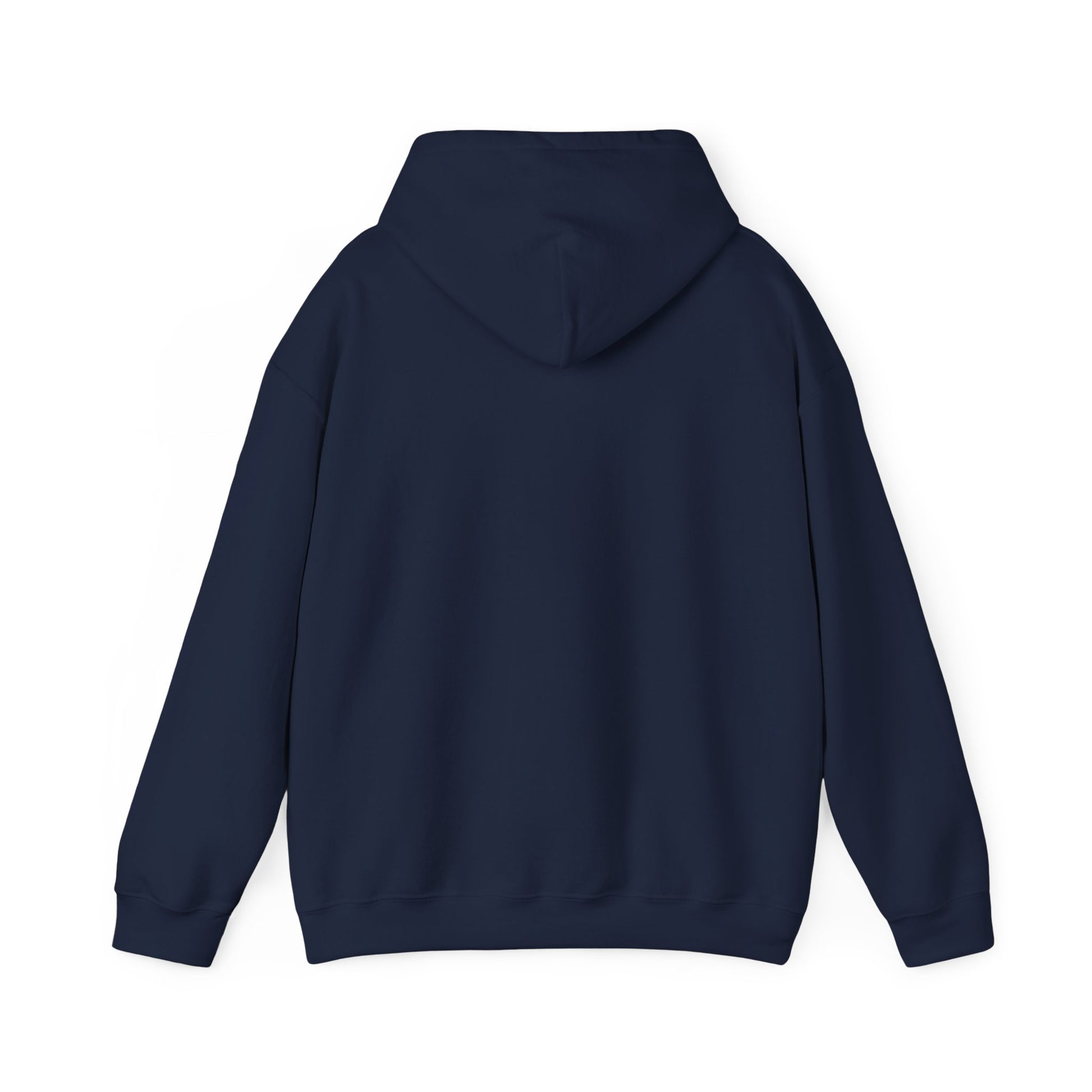 Travel Graphic Hoodie,Premium Unisex Heavy Blend Pullover