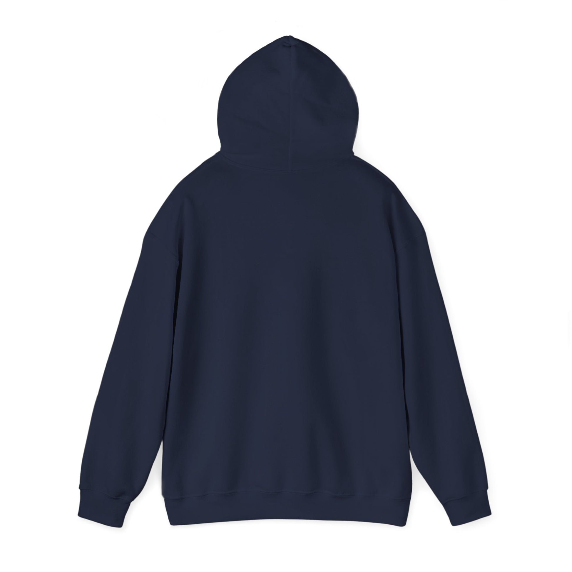 Travel Graphic Hoodie,Premium Unisex Heavy Blend Pullover