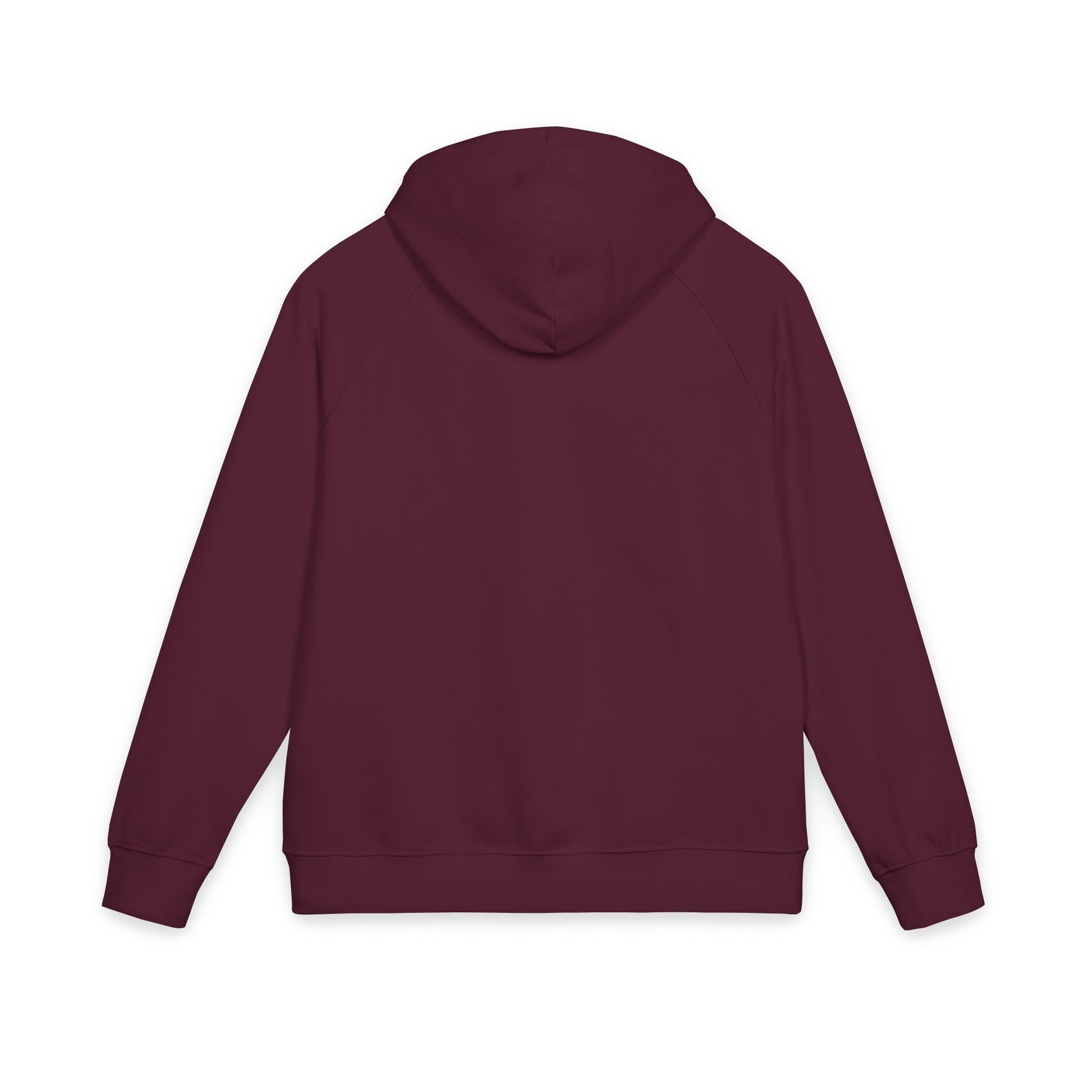 Organic Hoodie - Cozy and Sustainable Men-Women Raglan Hoodie with Embroidery Details