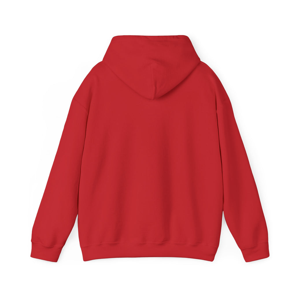 She is Brave Graphic Hoodie