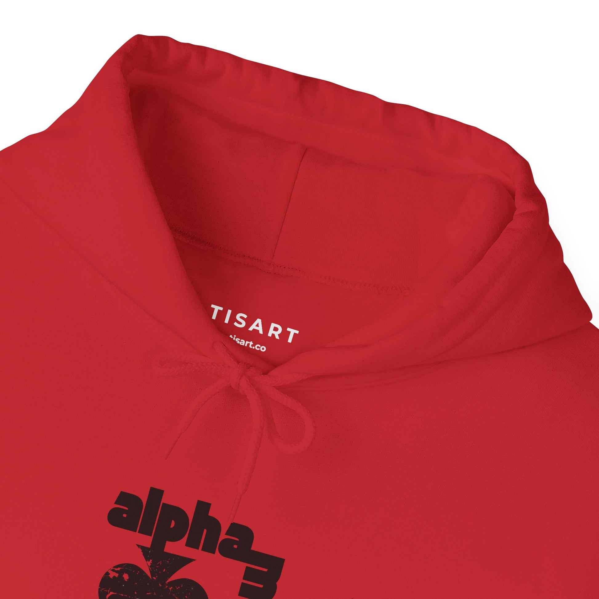 Alpha Mood Graphic Hoodie